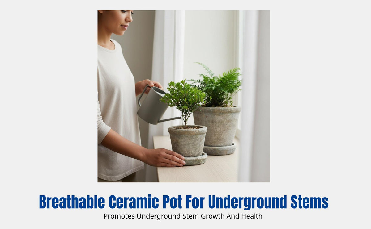 Ceramic Flower Pot, Handmade Vintage Planter, Breathable Pot with Tray for Home Garden