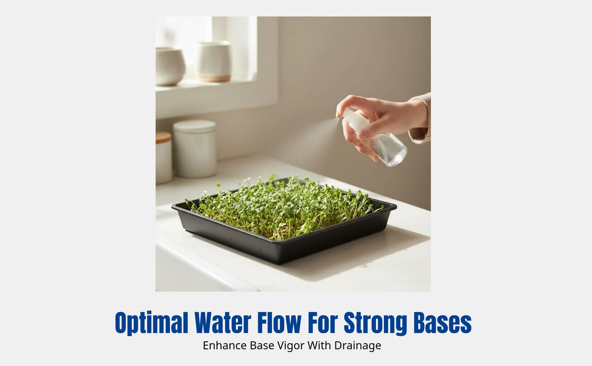 Thickened Sprout Tray, Multi Nursery Pot, Sprout Tray for Garden Planting