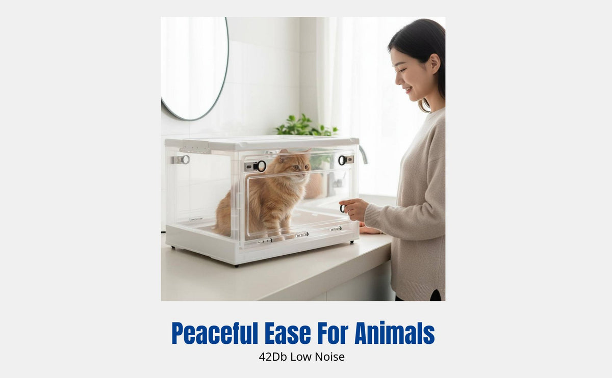 Pet Drying Box, Cat Dryer Machine, Low Noise, Home Use, Fast Drying, Adjustable Temperature, Large Capacity, for Cats and Small Dogs