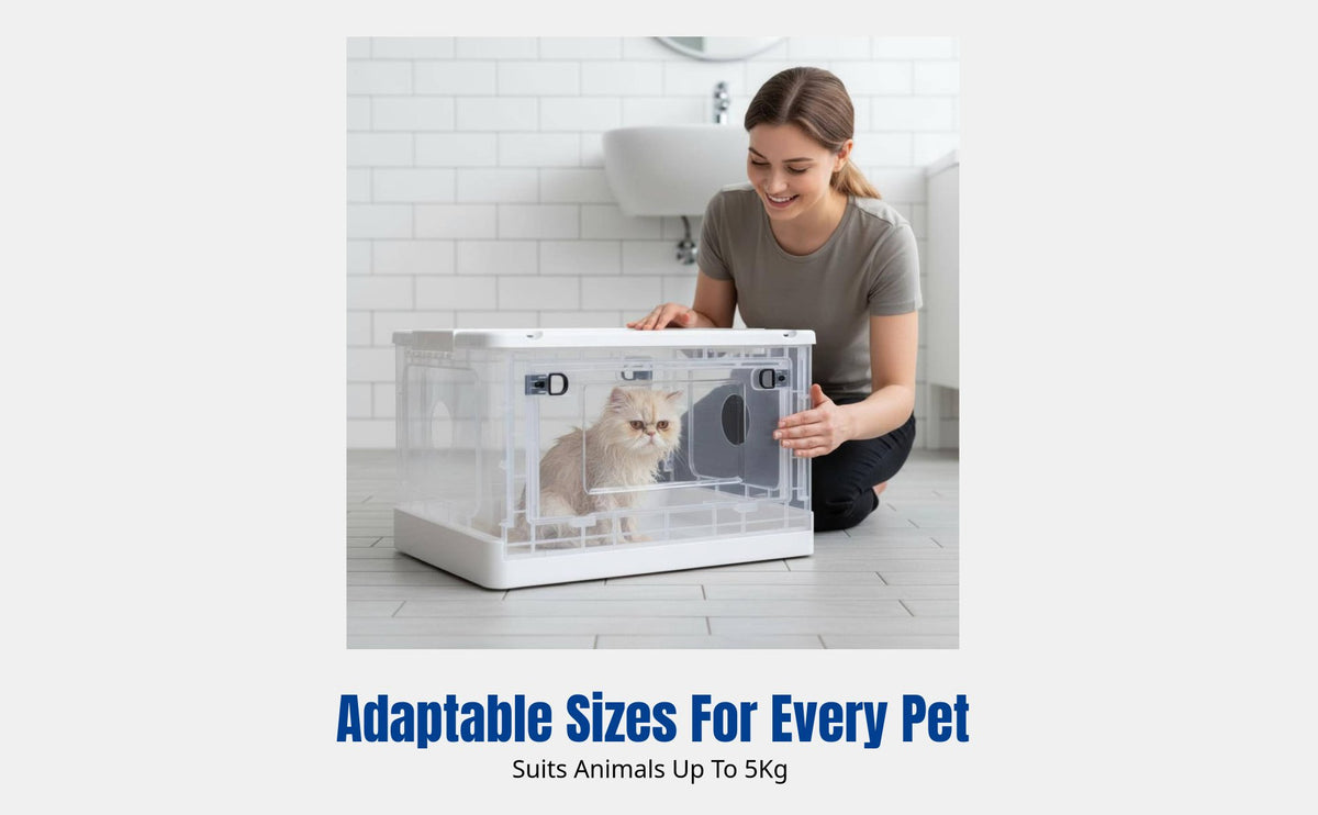 Pet Hair Dryer Box, Automatic Quiet Blower, Transparent Cat Bath, Multi-Size, Home