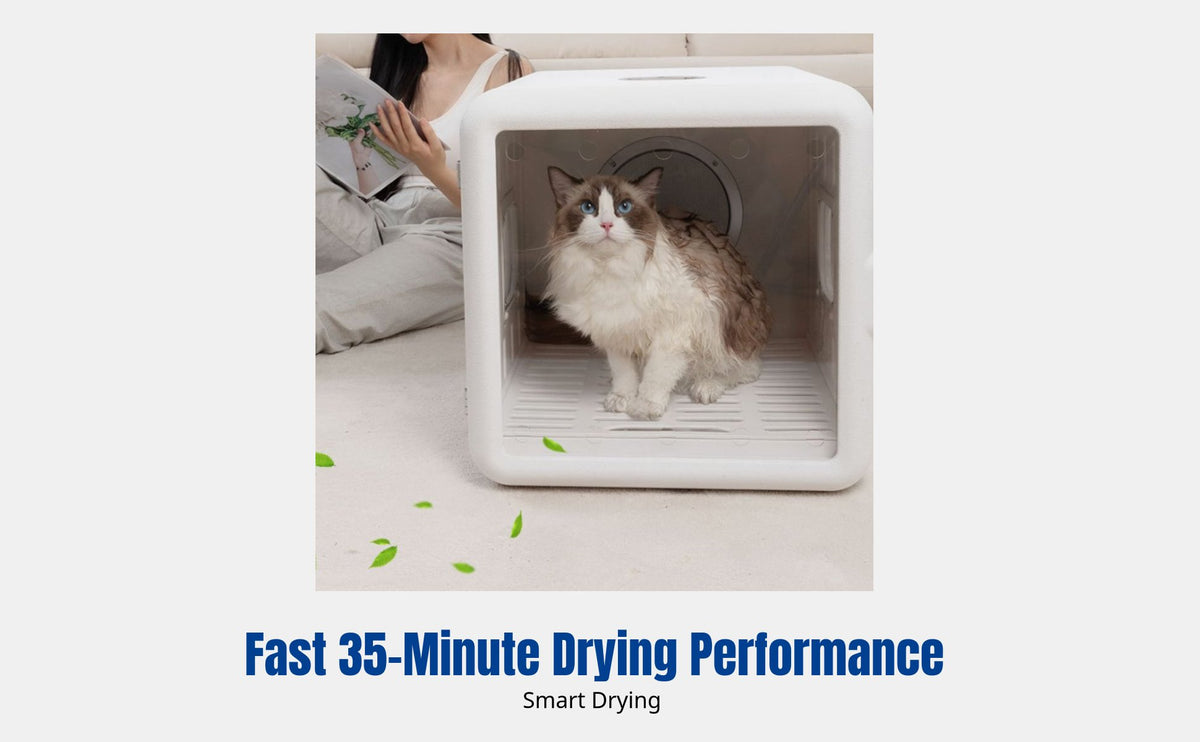 Pet Dryer Box, High Power, Fast Drying, Home Use, 360° Air Circulation, Low Noise, Hair Filter