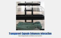 Pet Trolley Carrier, Transparent Travel Bag, Portable, Airline Approved, Spacious, Ventilated, Multi-Color, New Design
