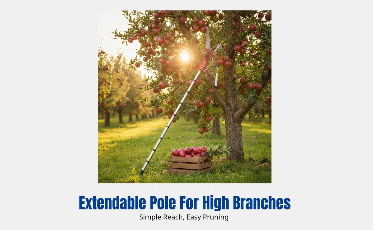 High Branch Pruner Saw, Pulley, Rope, Multi-Section Extension, Garden Tool