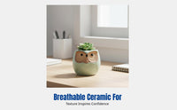 Cartoon Bird Succulent Planter, Ceramic Thumb Pot, Breathable Small Pot, Home Decor