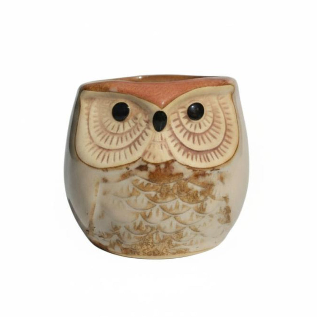 Yellow / Owl Short